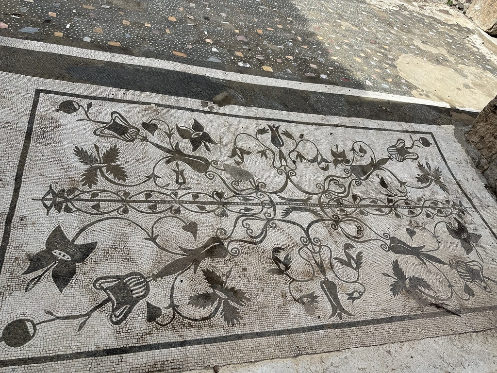 A Roman mosaic floor